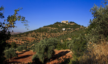 Ajloun-Castle-Visit