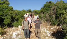 Ajloun-Forest-Reserve