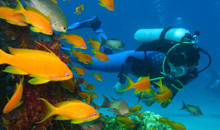 Diving-Red-Sea-Aqaba