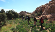 Petra-Hiking