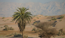 Wadi-Araba