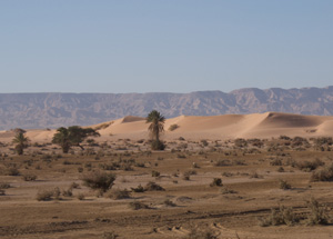 Wadi Araba Tour