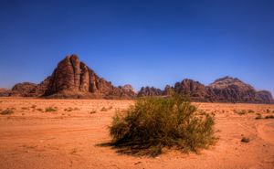 Wadi-Rum-Tour