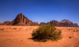 Wadi-Rum-Desert-Jordan