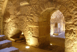 Ajloun-Castle-Jordan-Tours