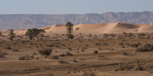 Wadi-Araba-Jordan
