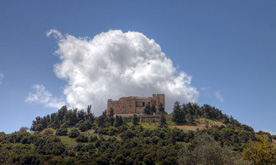 Ajloun-Castle-Jordan-Tour
