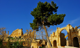 Day-Tour-in-Jordan