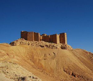 Palmyra-Bride-of-Desert